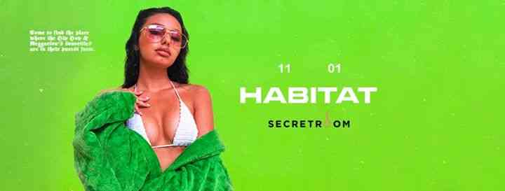 Habitat at Secretroom 11.01.18