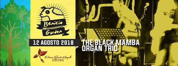 Benicio Garden: The Black Mamba Organ trio - Giavera, 12/08/18