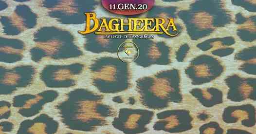 Bagheera & zoo club w/ Proudly People