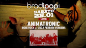 25.01.20 | Animatronic (Indie Rock) + BradiSound Dj Sets