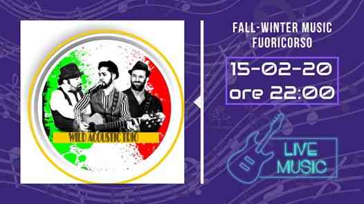 Fall Winter Music - Wild Acustic Trio Band live