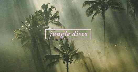 Jungle Disco