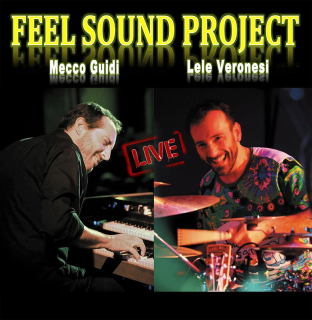 SOLD OUT// Mecco Guidi & Lele Veronesi in Feel sound project