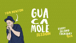 GUACAMOLE Session #0