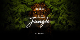 Blubay - In The Jungle - 8 Agosto