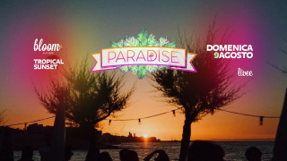 Paradise - Tropical Sunset