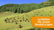 Alpages Ouverts - La Chatelaine