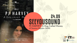 Cinema: PJ HARVEY 'A Dog Called Money' — Q35 Urban Garden (posti limitati)