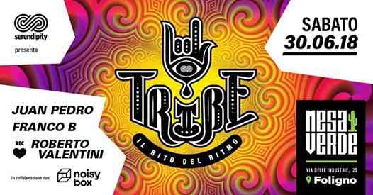 Serendipity presents TRIBE #5 at Mesa Verde