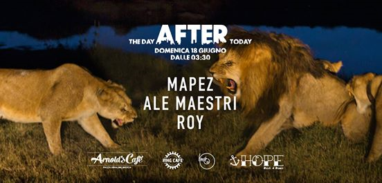 The day after today - Mapez, Ale Maestri & Roy