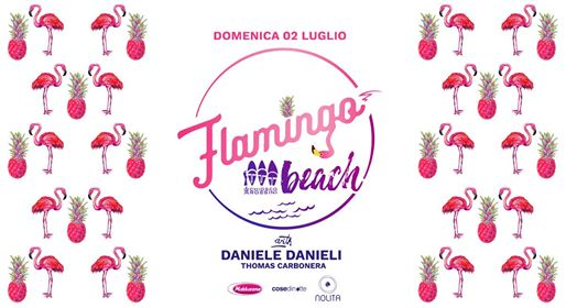 Dom. 02.07 ☾ Flamingo Beach ☾ Chiosco Rossini w/ Daniele Danieli