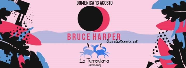 La Tumpulata Ammare // Bruce Harper live