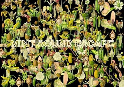 Mint Sound Escape Vol.VIII l Freakout Club