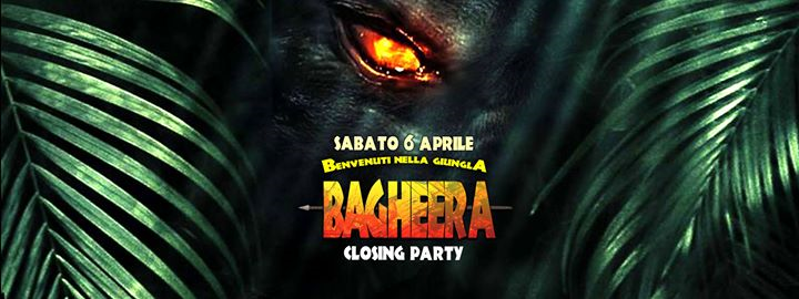 Bagheera & ZooClub - Closing PARTY