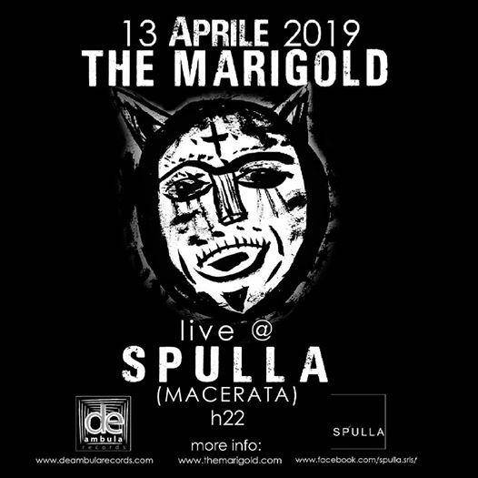 The marigold live spulla