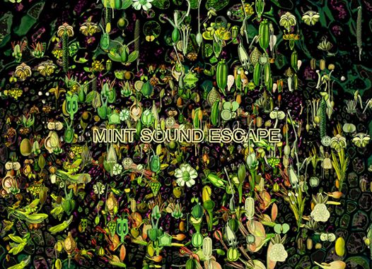 Mint Sound Escape Vol.XXI | Freakout Club