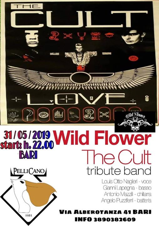 Wild Flower- The CULT tribute band - Pellicano Pub Bari 31/05/19