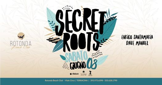 Secret Roots w/ Dave Manuel + Enrico Santamaria