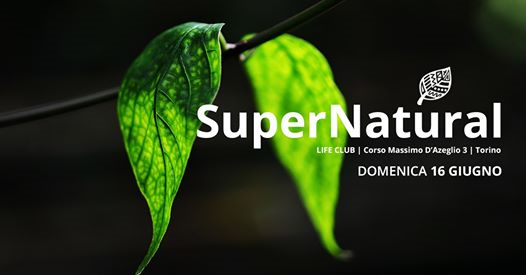 SuperNatural | 16.06