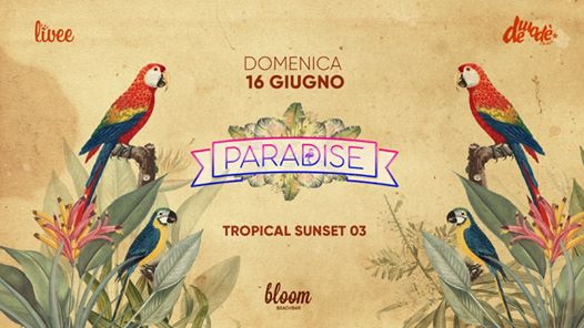 Paradise - Tropical Sunset ❀