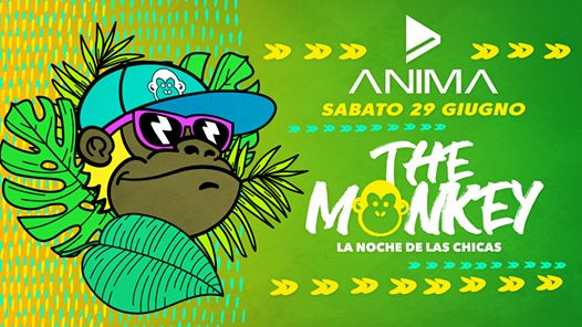 THE MONKEY・La Noche De Las Chicas・Anima Club