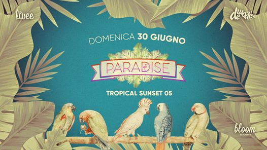 Paradise - Tropical Sunset 05 ❀