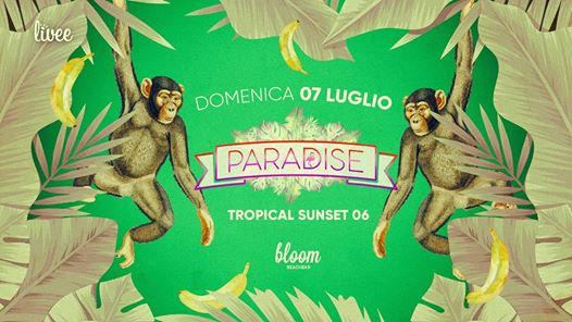 Paradise - Tropical Sunset 06 ❀
