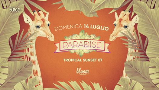Paradise - Tropical Sunset 07 ❀