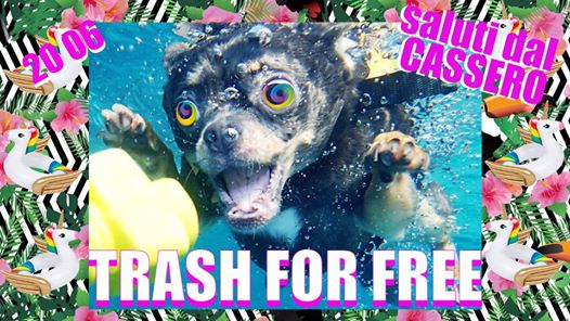 Trash For Free - The Summer is Trash!