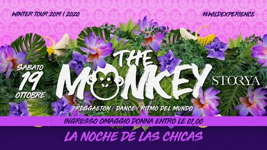 Storya | The Monkey "La Noche de Las Chicas"- Woman Free till 01