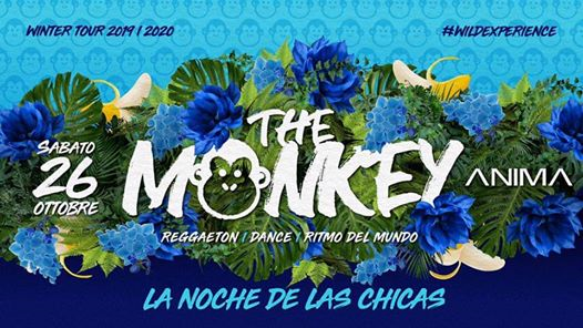 The Monkey・La Noche De Las Chicas・Anima Club