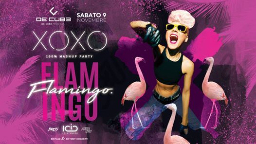 XOXO Flamingo - 09.11.19