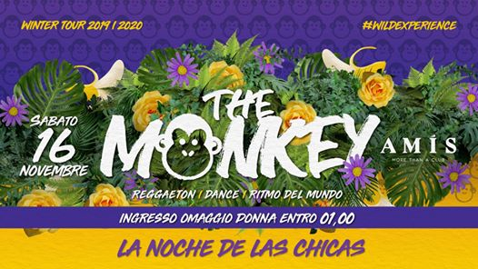 The Monkey・La Noche De Las Chicas・Amis Club • Free Woman till 01