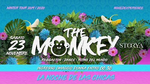 Storya | The Monkey - La Noche de Las Chicas - Free till 00.30