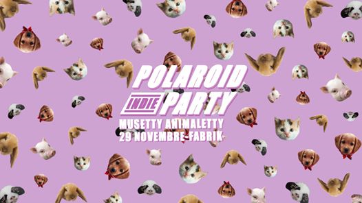 Polaroid Indie Party /29 novembre/ Musetty Animaletty edition