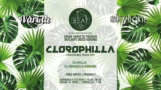Clorophilla - friendly BEAT Verona