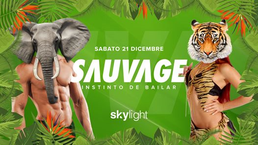 Sauvage @Skylight • Reggaeton & Latin Pop