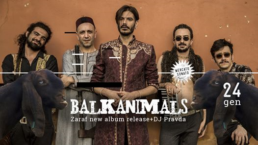 Balkanimals | Zaraf al Mercato Sonato