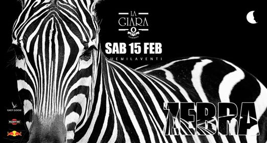 Zebra @La Giara