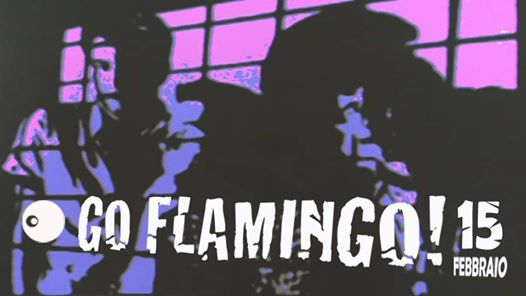Go Flamingo! live at Retronouveau