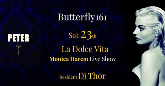 Butterfly Sat 23th