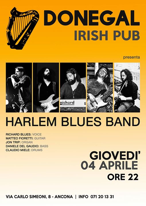 Harlem BLUES BAND live at Donegal