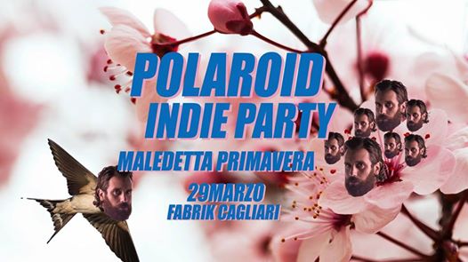 Polaroid Indie Party / 29.03.2019 / Maledetta Primavera