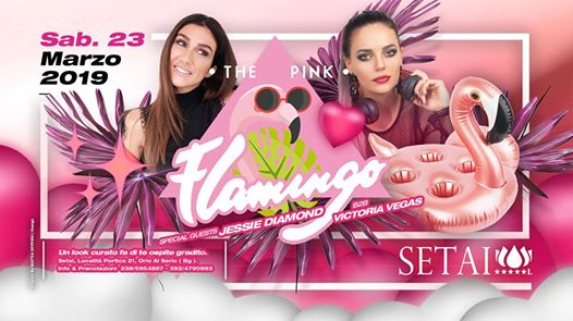 The Pink Flamingo ･ Setai Club ･ Bergamo