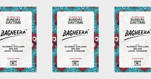 Bagheera — Sunday Daytime 14 April